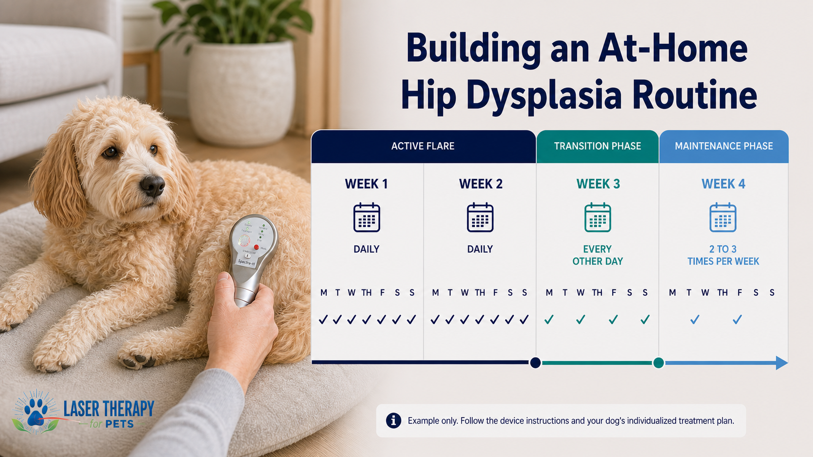 Four-week at-home laser therapy routine for a dog with hip dysplasia, progressing from daily treatment to maintenance sessions.