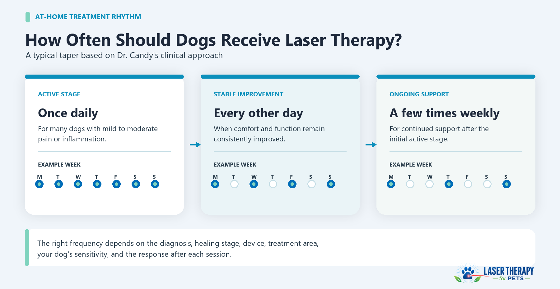 Infographic showing Dr. Candy's typical at-home laser therapy schedule for dogs: once daily, then every other day, then a few times weekly