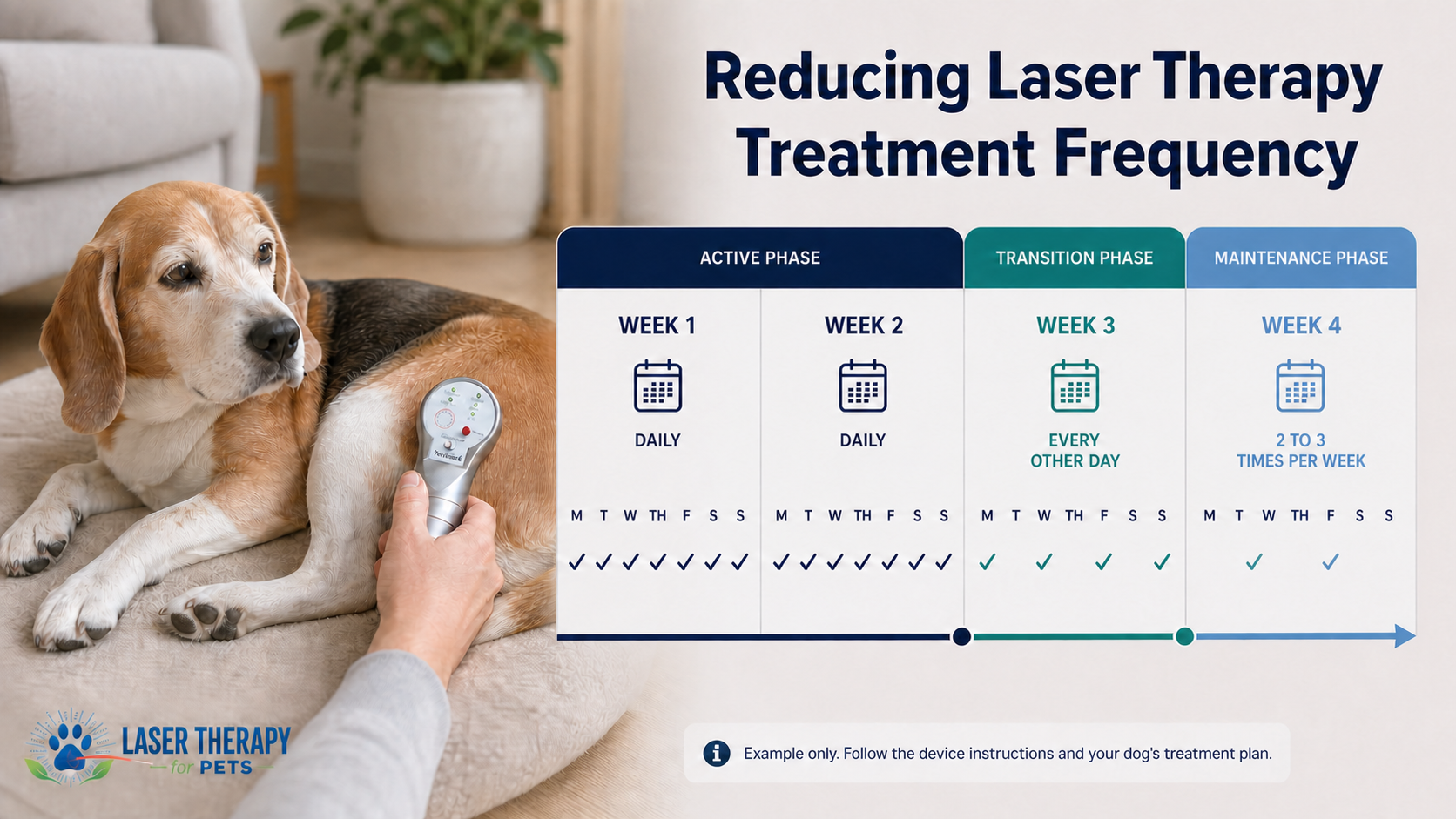 Example treatment-frequency schedule for canine arthritis showing daily active-phase laser therapy, then reduced transition and maintenance sessions
