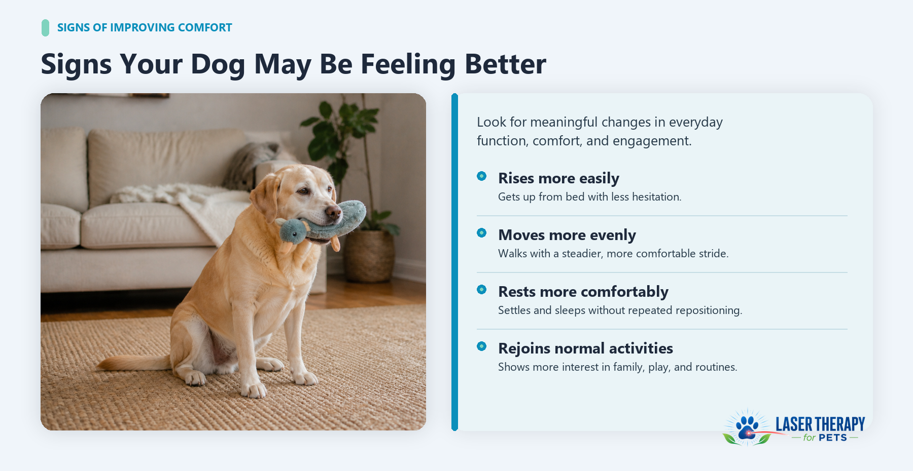Infographic showing signs a dog may be feeling better, including easier rising, more even movement, comfortable rest, and renewed interest in normal activities
