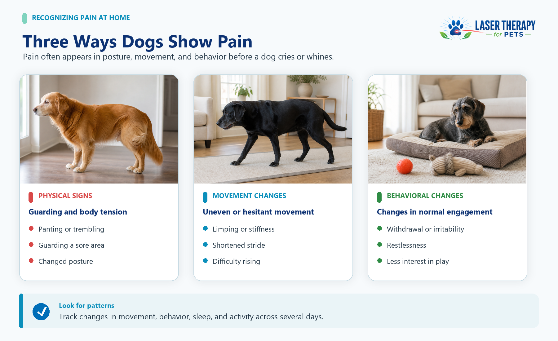 Infographic showing three ways dogs may show pain through physical signs, movement changes, and behavioral changes